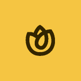 丹的零星小铺子