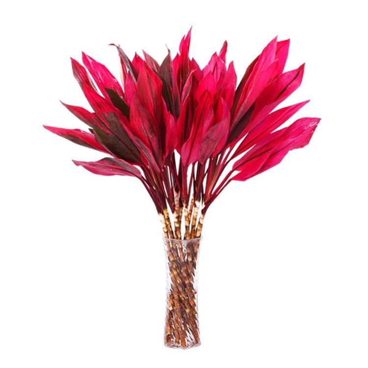丰裕花卉
