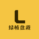 绿植盘栽