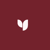 HESAEN毛线严选