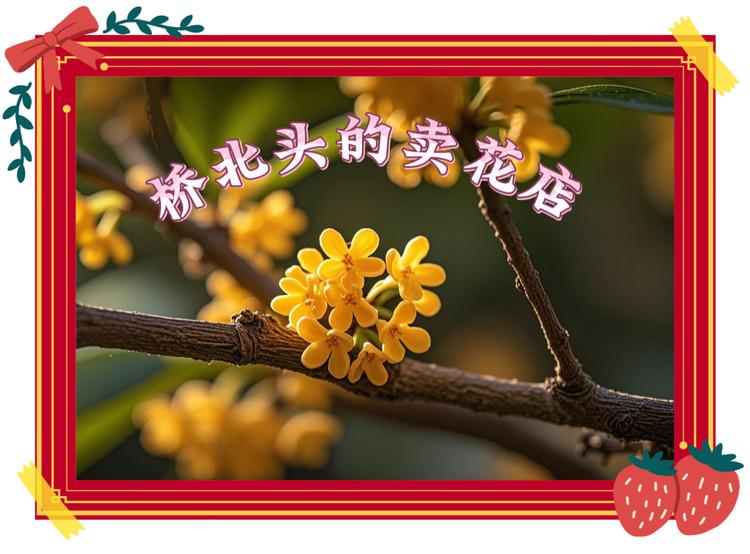 桥北头的卖花店