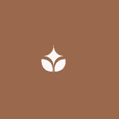宁陵县址带百货店