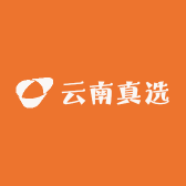 云南真选
