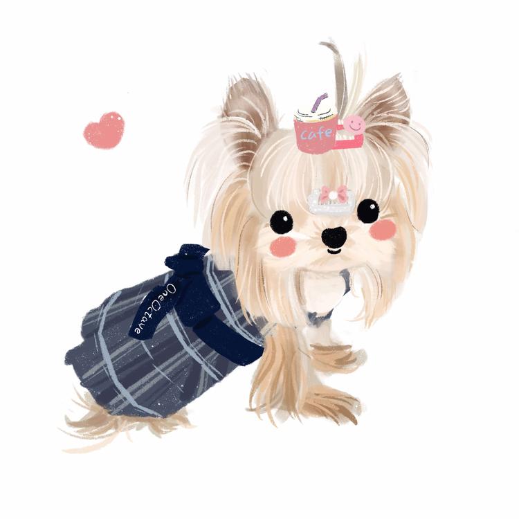 CarefreePet
