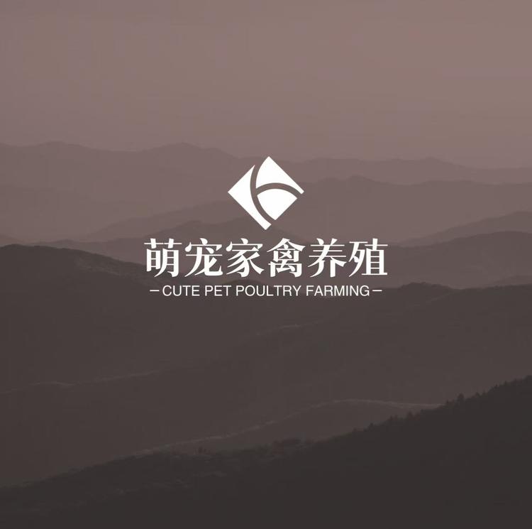 萌宠家禽养殖