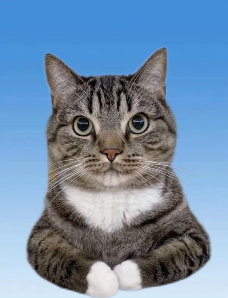 小笼包特色小铺子