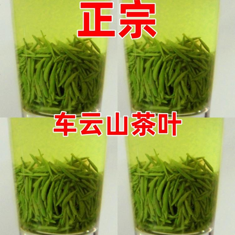 车云山信阳毛尖茶
