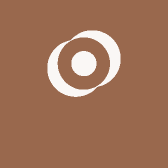 新疆特产疆翰优选