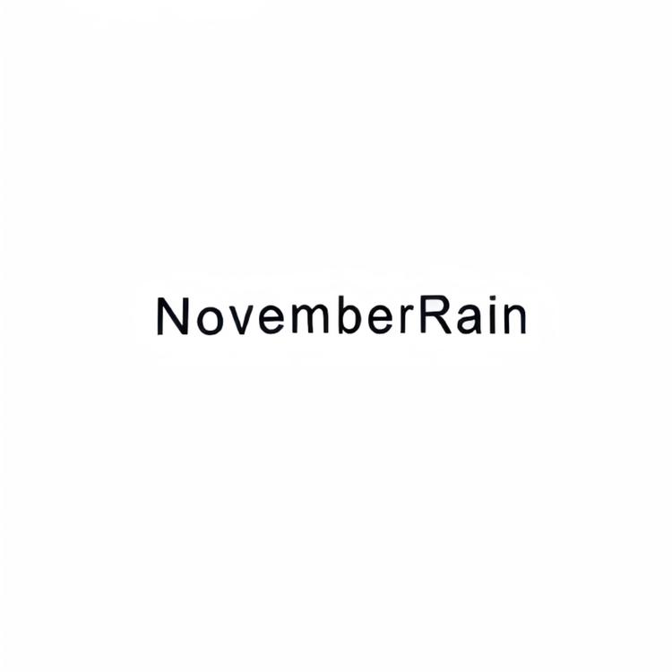 NovemberRain