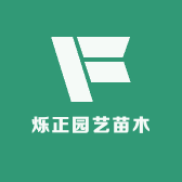 烁正园艺苗木