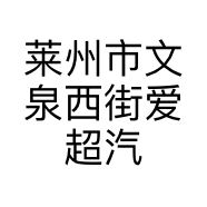 莱州市文泉西街爱超汽车用品店的小店个体店