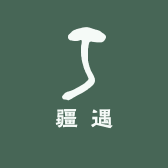 疆遇旅游石河子分公司