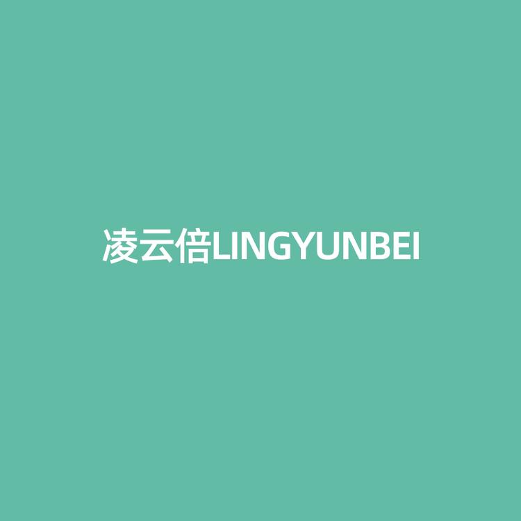 凌云倍厨房电器