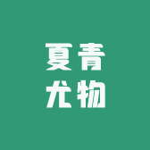 夏青尤物