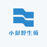小彭野生菌