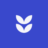 企丝钻石贴