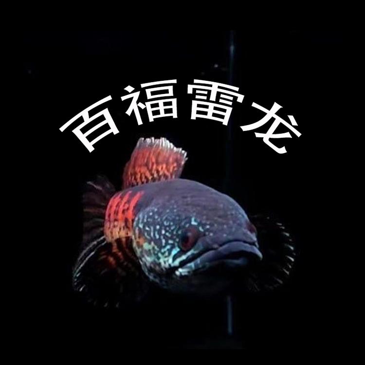 百福水族