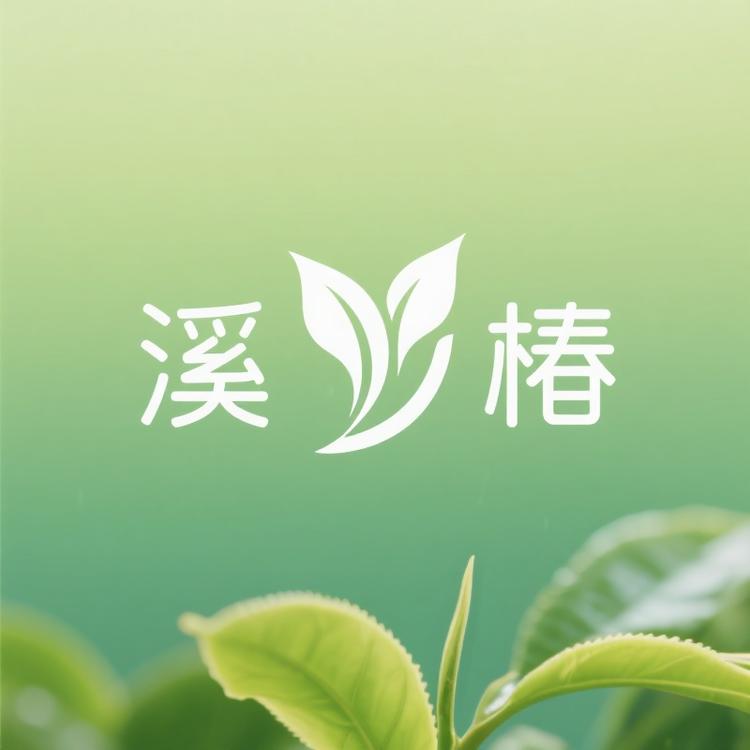 溪春老茶
