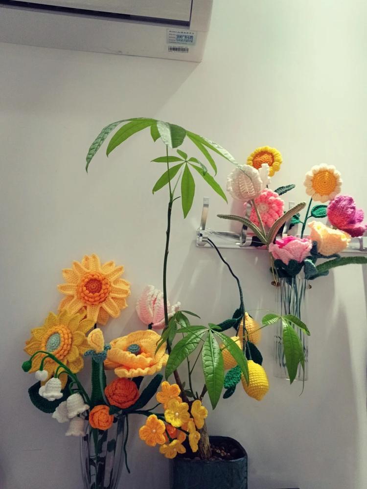 miaomiao的小橱窗