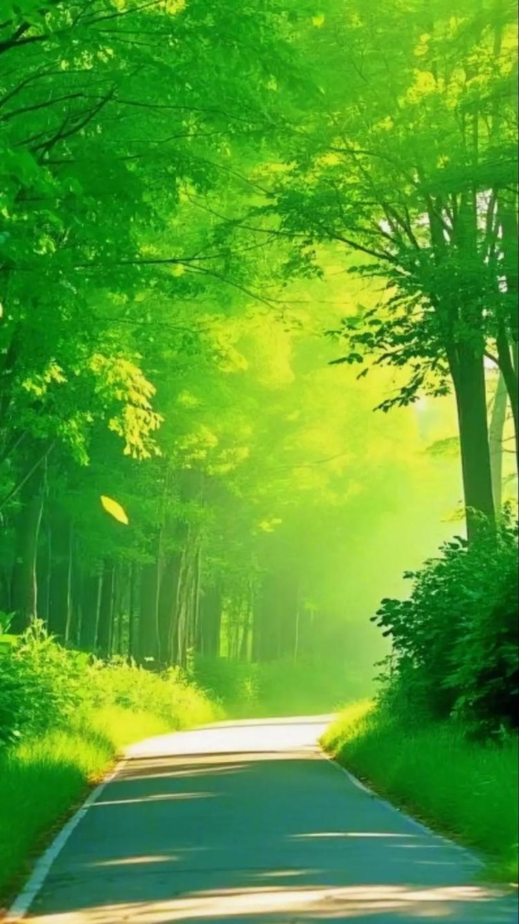 霍霸婴童生活旗舰店