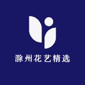 滁州花艺精选
