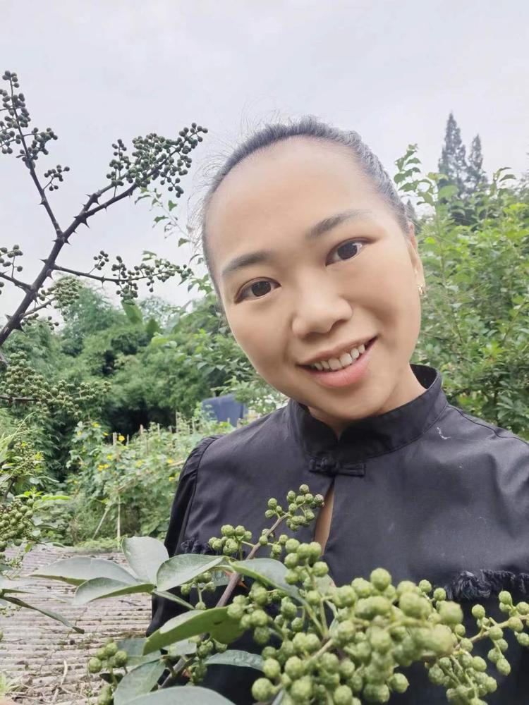 12年家族花椒