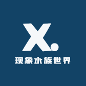 现象水族世界