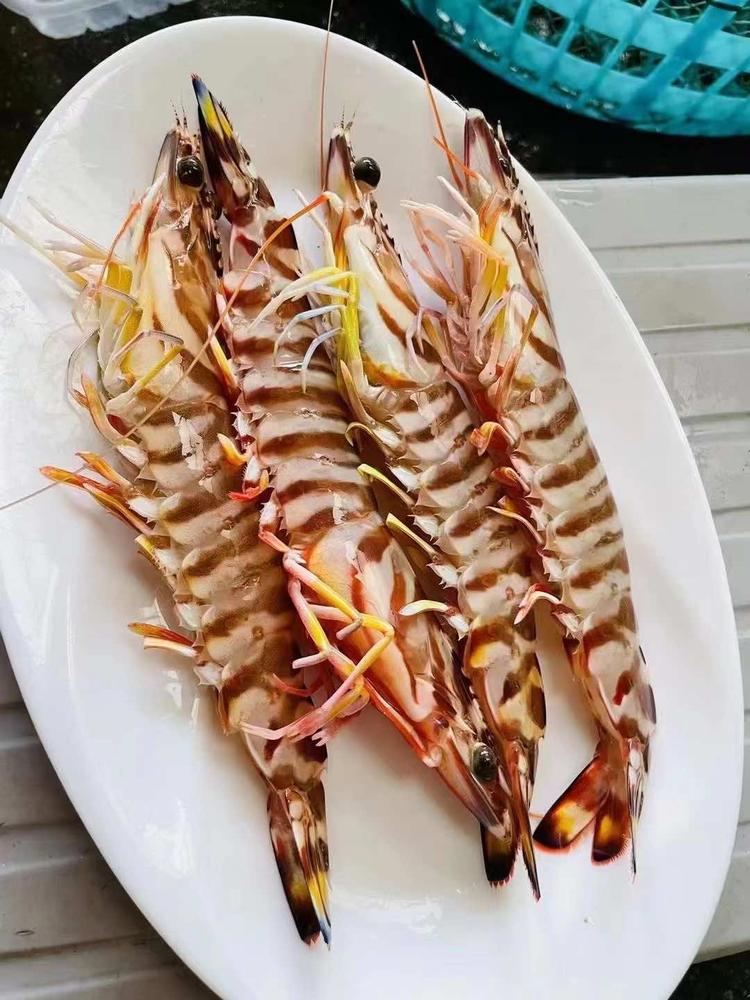 海产鲜生