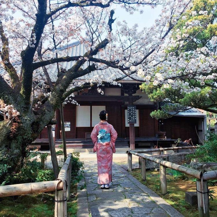 花火日语教室