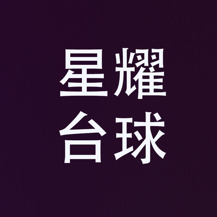 星耀台球用品企业店