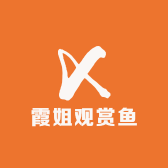 霞姐观赏鱼