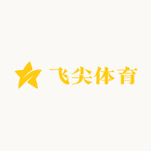 飞尖体育