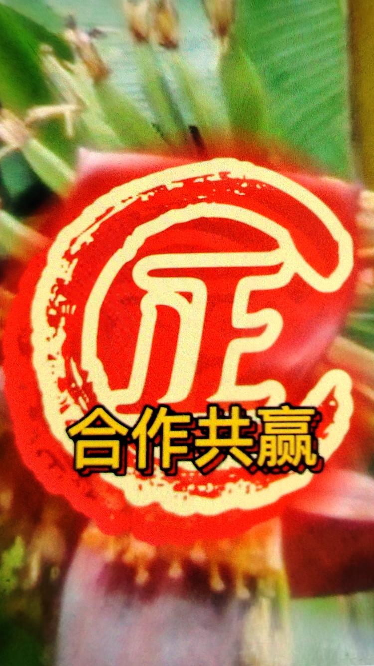海创意好货店
