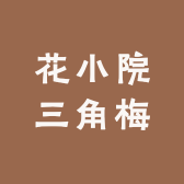 花小院三角梅
