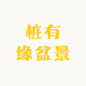 桩有缘盆景
