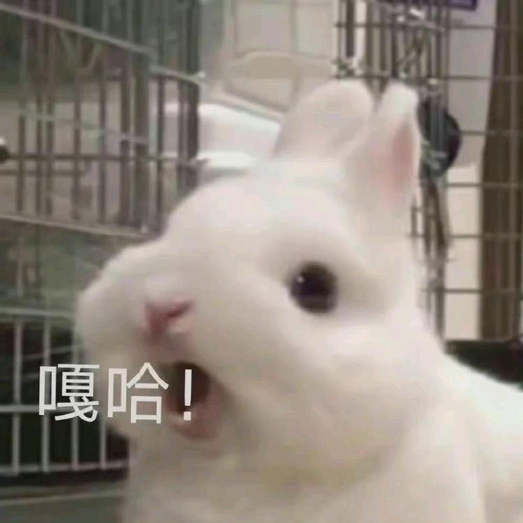 佳木木三