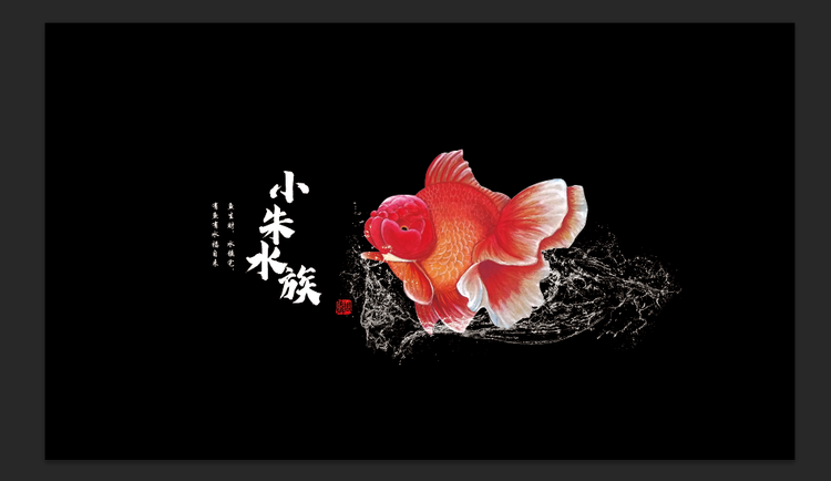 小朱水族