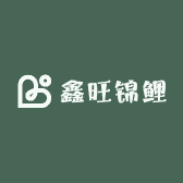 鑫旺锦鲤