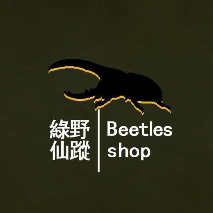A绿野仙踪