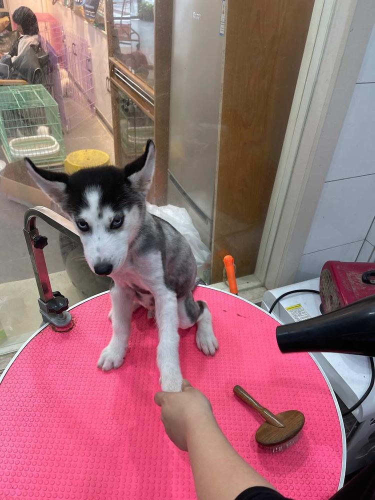 石狮市张张国政服装店的小店