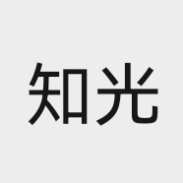知光灯饰个体店