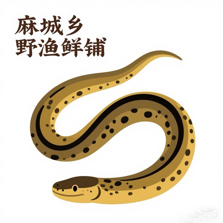 麻城乡野渔鲜铺