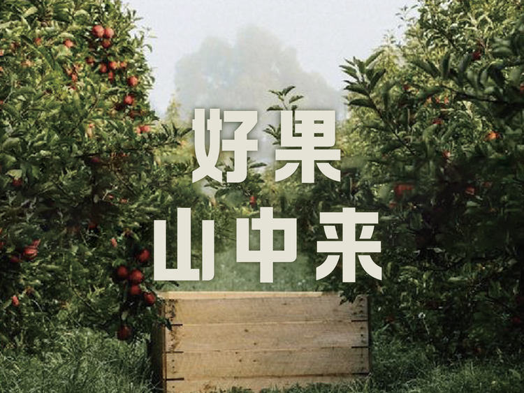 山中来高端