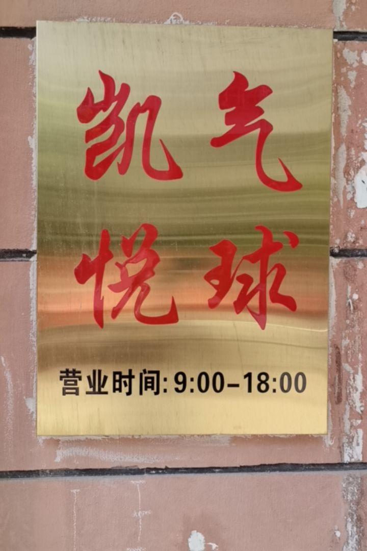 凯悦气球品质店