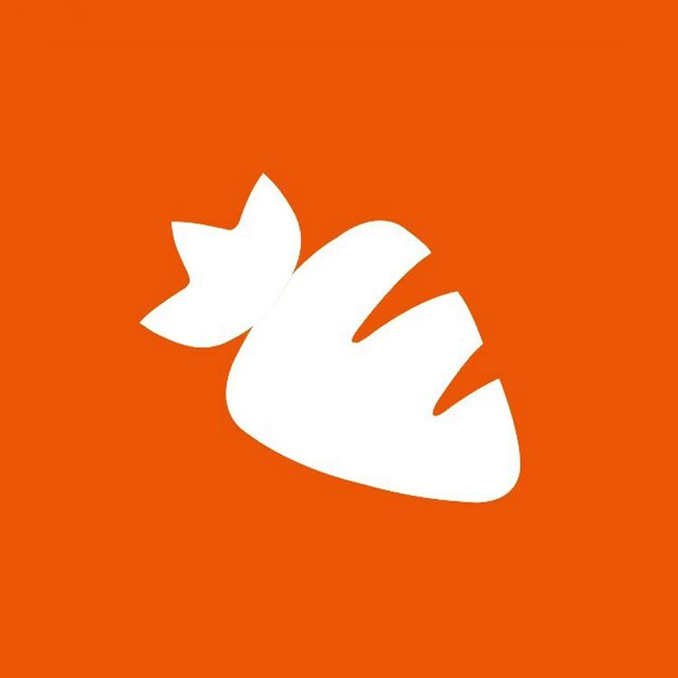 萝卜职达校招版