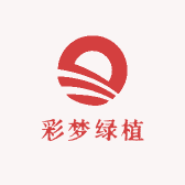 彩梦绿植