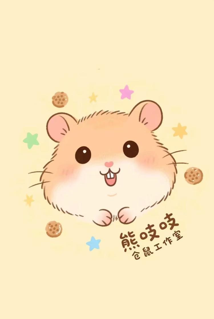 熊吱吱金丝熊工作室