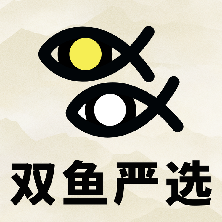 双鱼严选电脑
