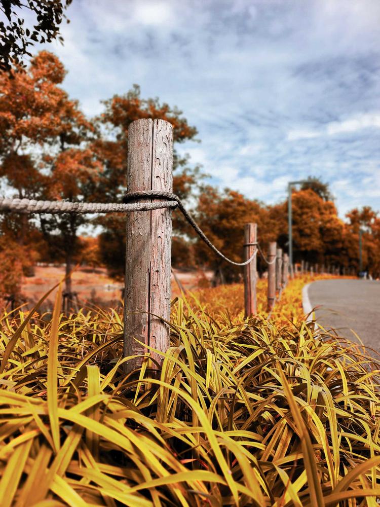 城市游牧人露营玩家
