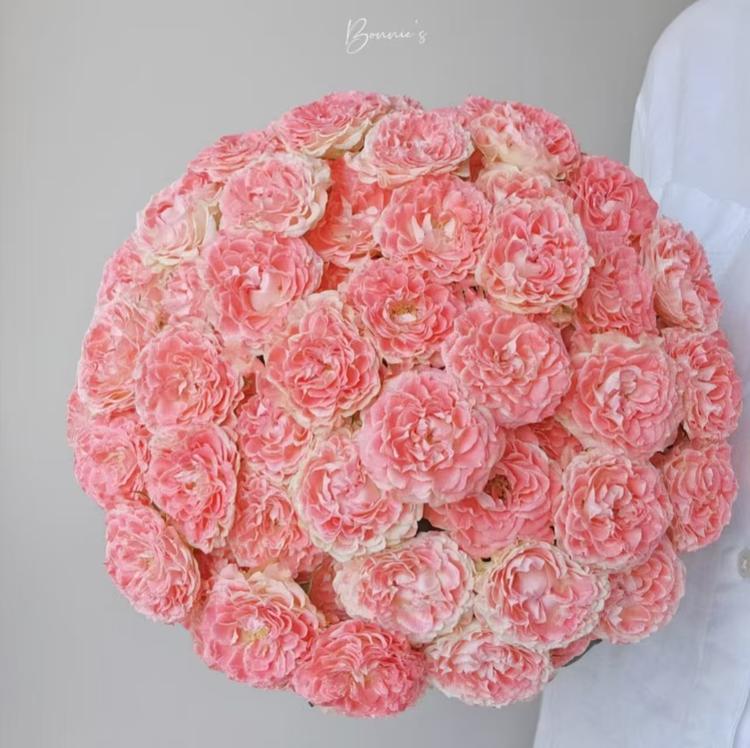 花子花花世界